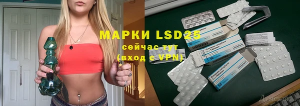 стаф Шали