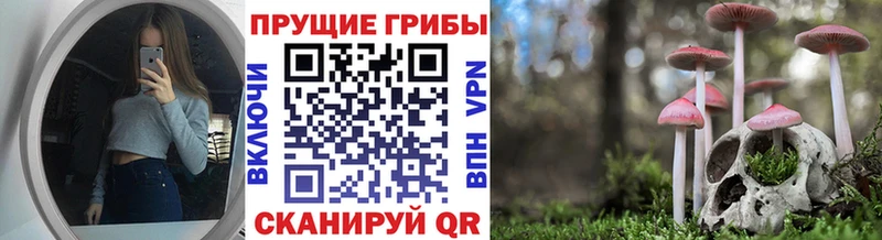 Галлюциногенные грибы Psilocybine cubensis  Новоузенск 